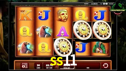 Descubra o Mundo do Cassino Online com ss11